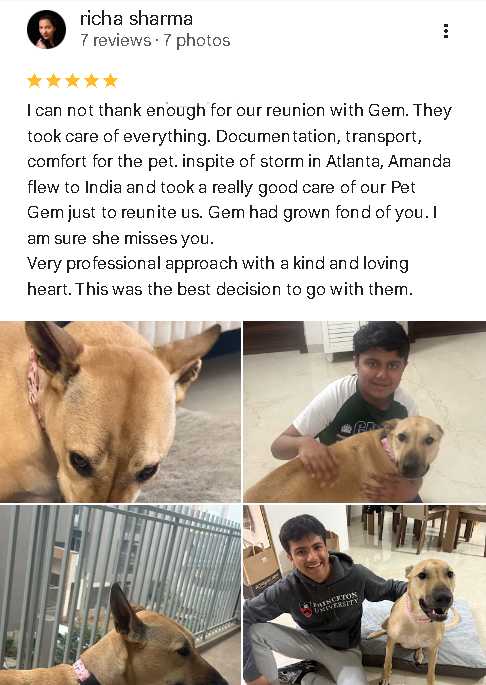 Google Review for Roxy / Gem